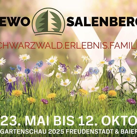Fewo Salenberg 프로이덴슈타트 외부 사진